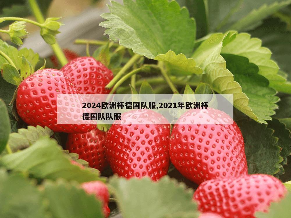 2024欧洲杯德国队服,2021年欧洲杯德国队队服