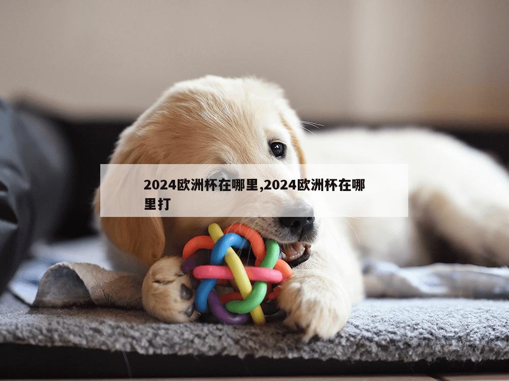 2024欧洲杯在哪里,2024欧洲杯在哪里打