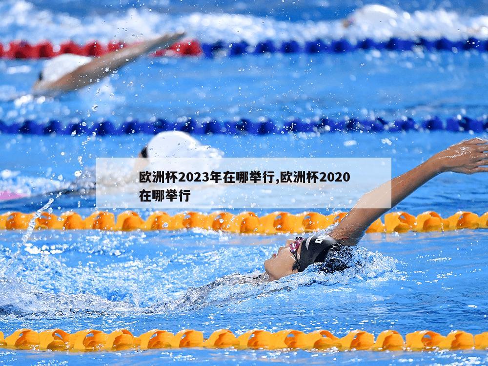 欧洲杯2023年在哪举行,欧洲杯2020在哪举行