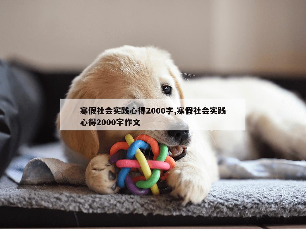 寒假社会实践心得2000字,寒假社会实践心得2000字作文