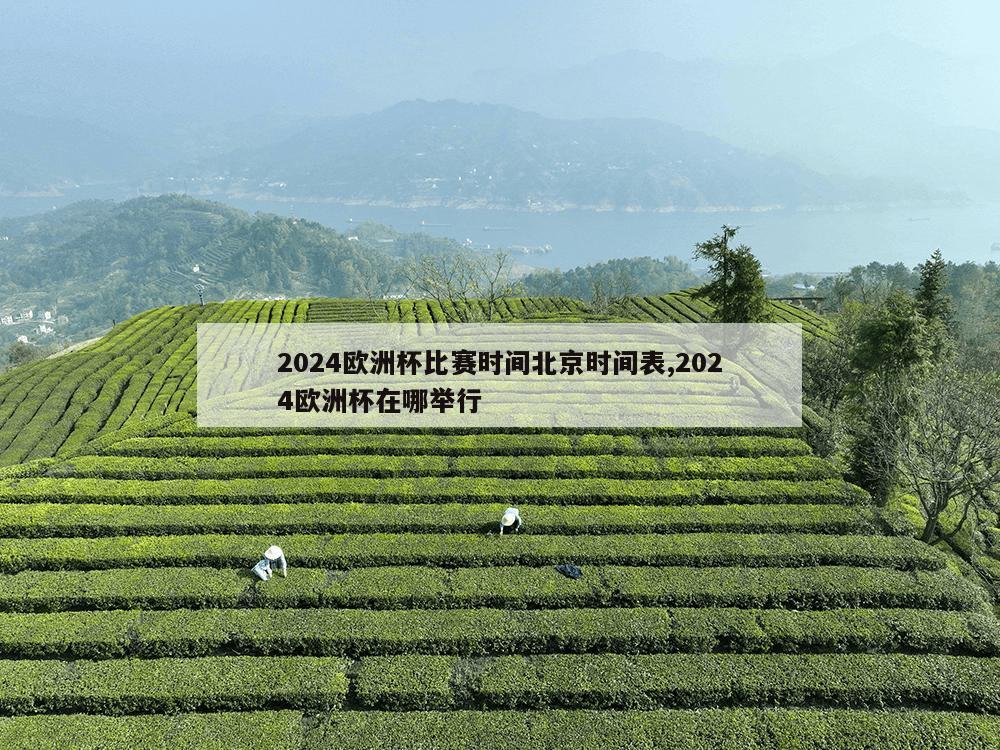 2024欧洲杯比赛时间北京时间表,2024欧洲杯在哪举行