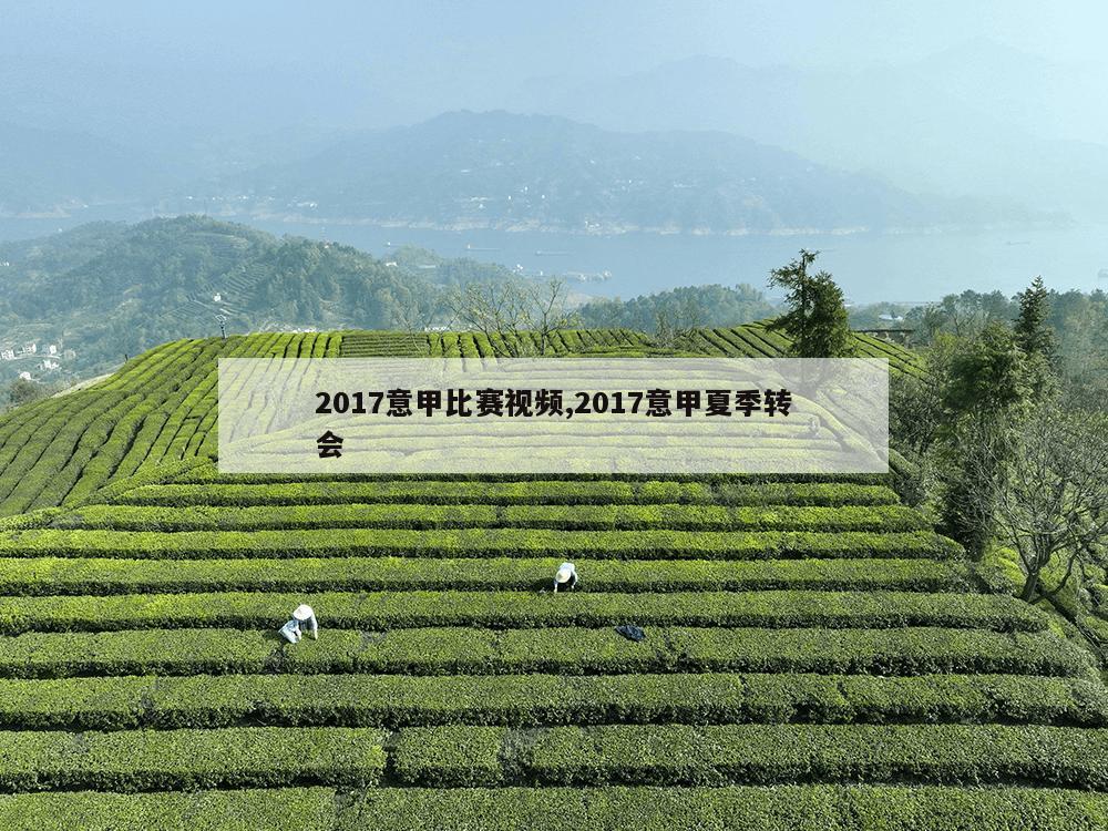 2017意甲比赛视频,2017意甲夏季转会