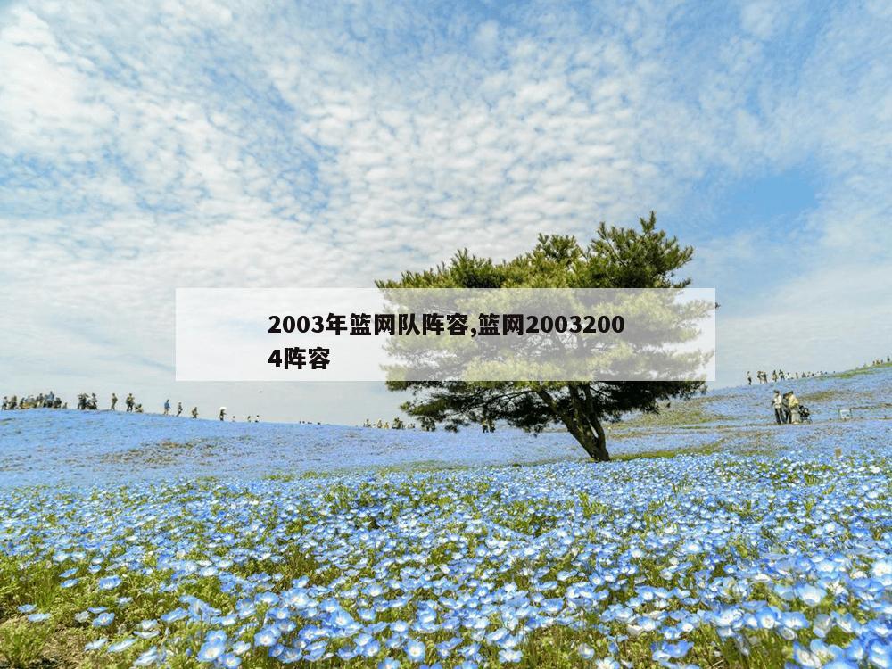 2003年篮网队阵容,篮网20032004阵容