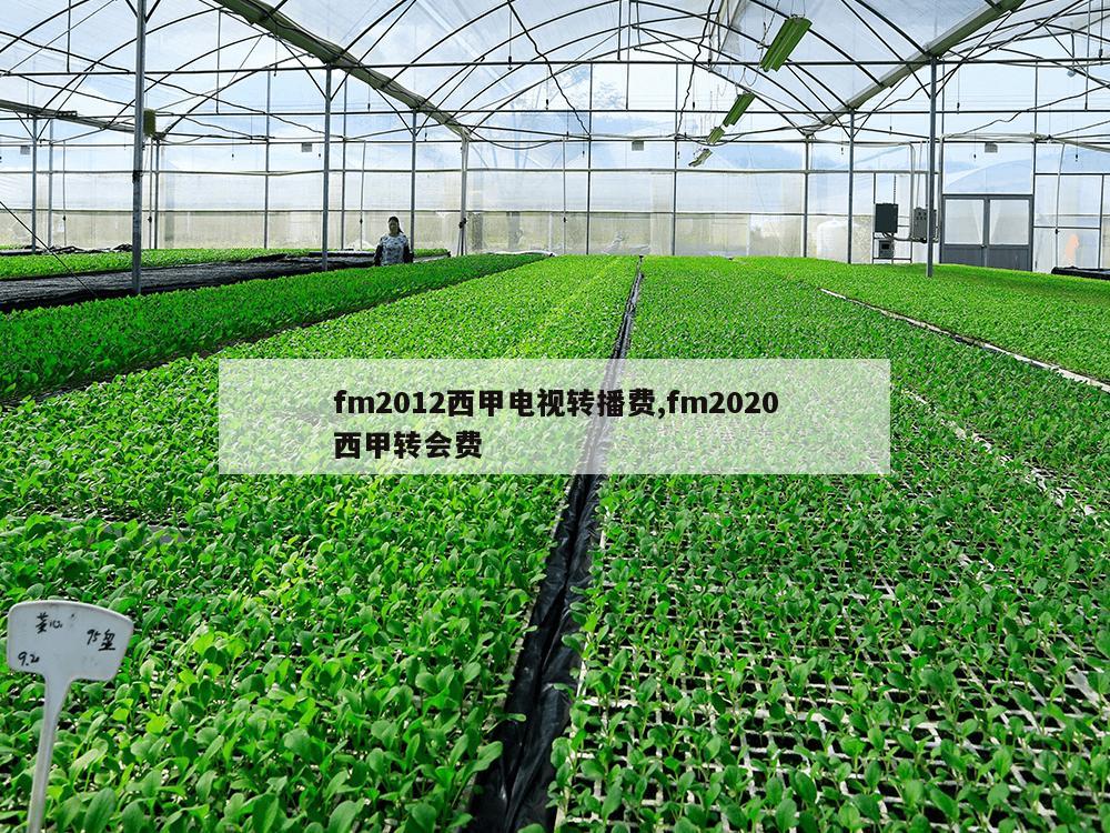 fm2012西甲电视转播费,fm2020西甲转会费