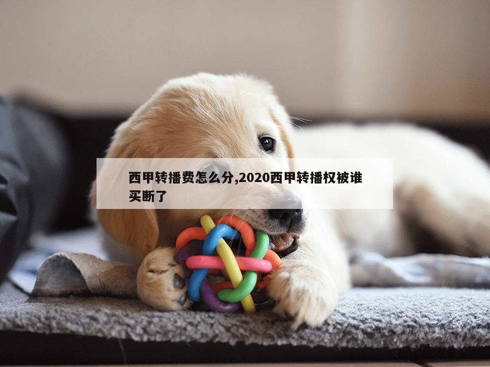 西甲转播费怎么分,2020西甲转播权被谁买断了